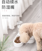 心型 旺财 喵星人 喝水器 饮水带水瓶双碗